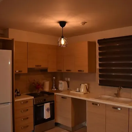 Beachfront Penthouse With Seaview Διαμέρισμα Λευκαντί